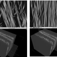 Misalignment of fibers in a glass fiber_PP_SRPP composite.jpg